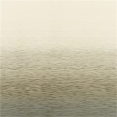 RX 4000 Privacy Curtain Fabric